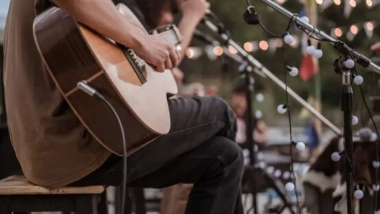 Un m&uacute;sico tocando la guitarra en un concierto. / A.S.