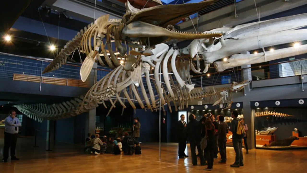 Interior del Museo Mar&iacute;timo del Cant&aacute;brico, tras una conferencia. / x