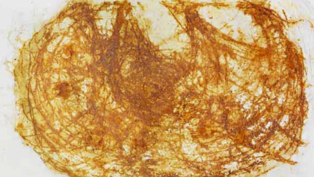 Obra de la exposici&oacute;n 'Tiempo y profundidad' de Mar&iacute;a Villacorta. /x