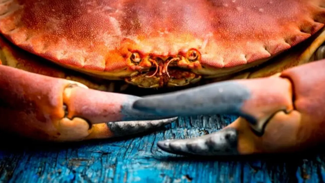 Pueblos de Cantabria con Estrellas Michelin, cocidos y anchoas de lujo.