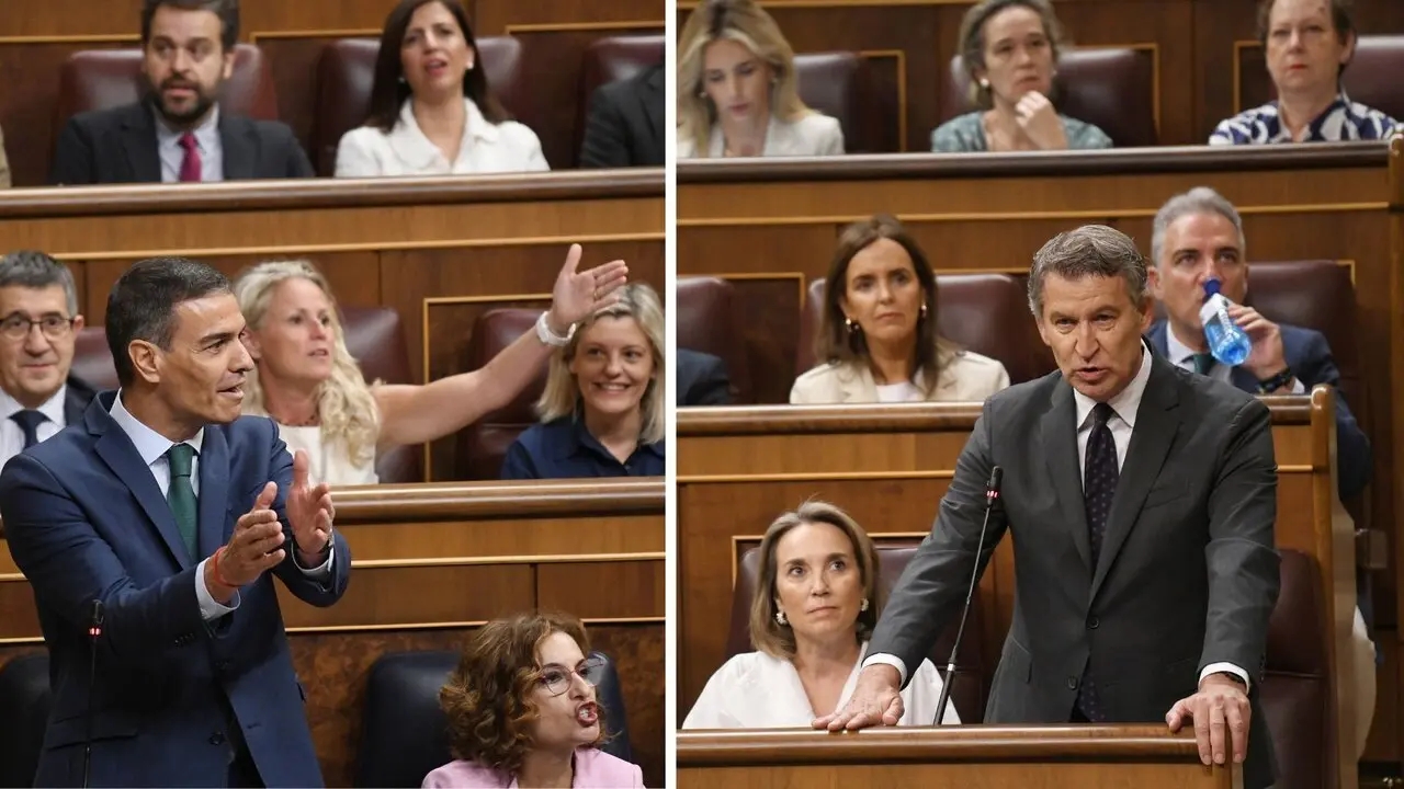Pedro S&aacute;nchez y Alberto N&uacute;&ntilde;ez Feij&oacute;o en el Congreso de los Diputados. / EP