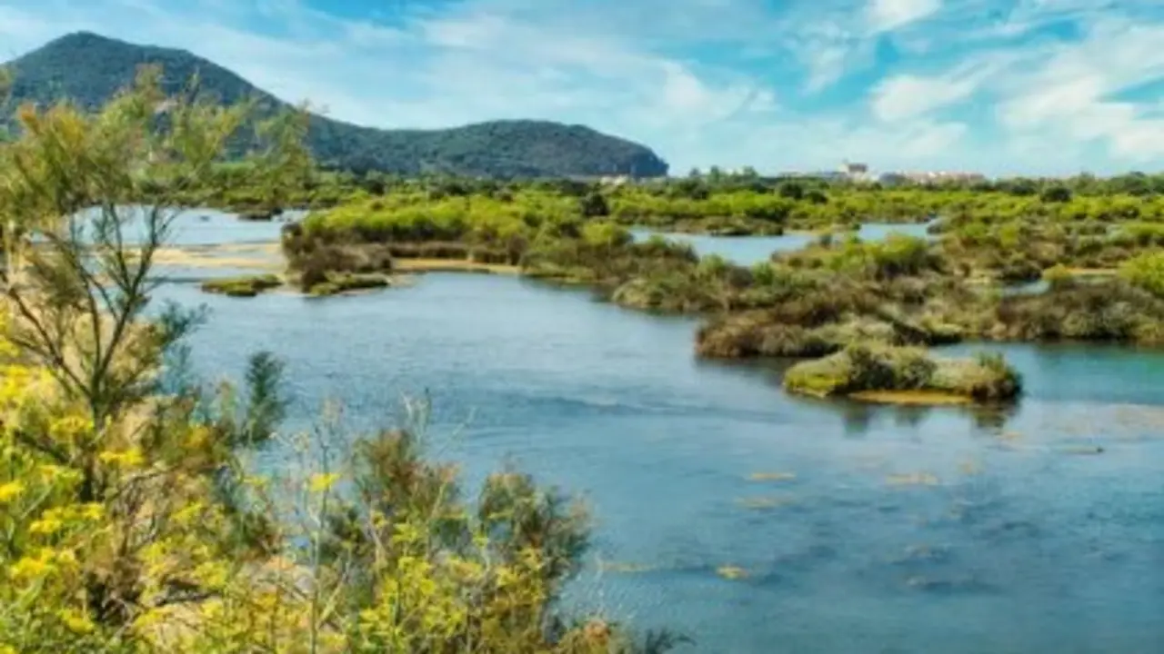 Parque natural de las marismas de Santo&ntilde;a en Cantabria, Espa&ntilde;a. / A.S.