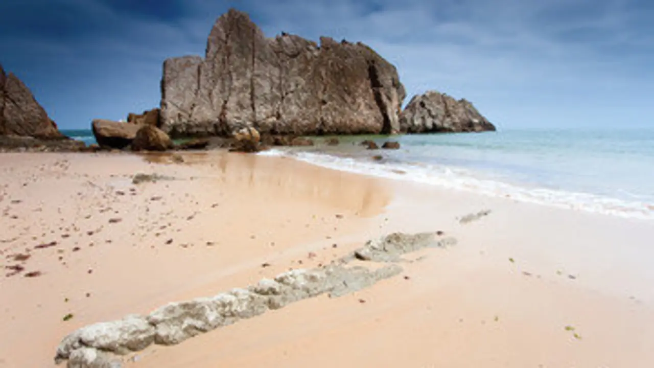 Playa de la Arn&iacute;a. / A.S.P
