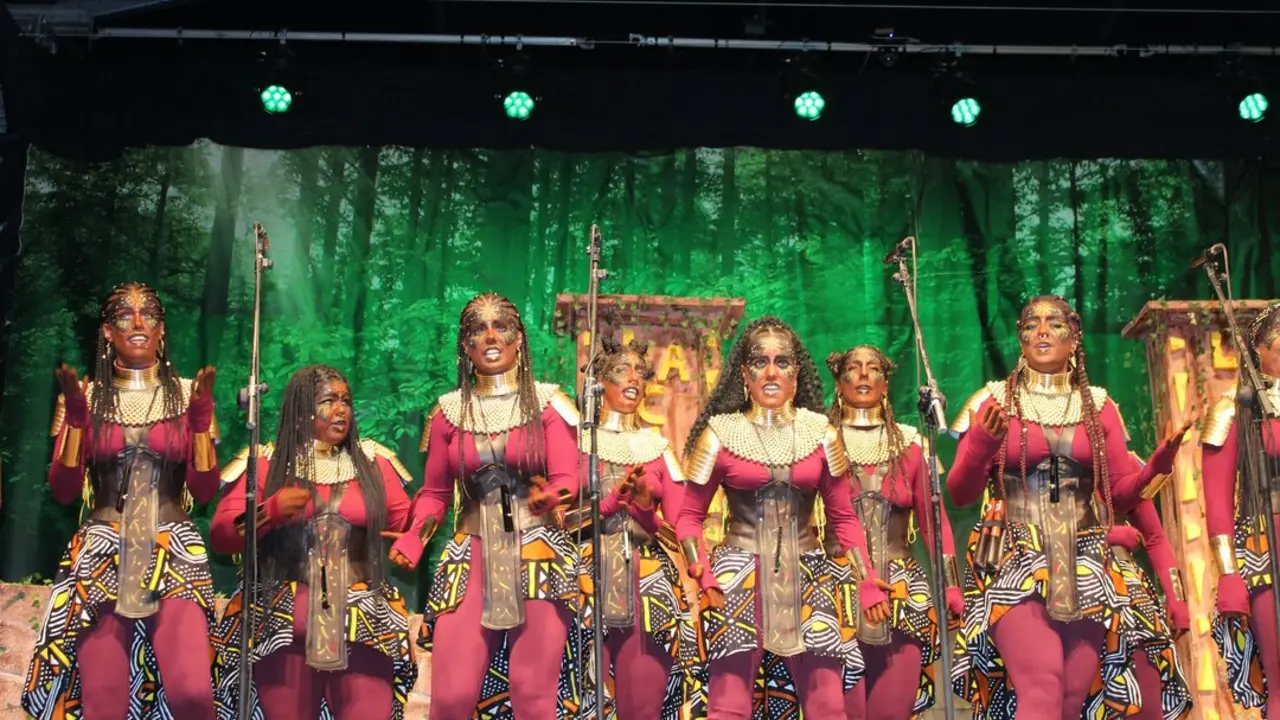 Varias personas disfrazadas durante el Carnaval de Santo&ntilde;a. / FB