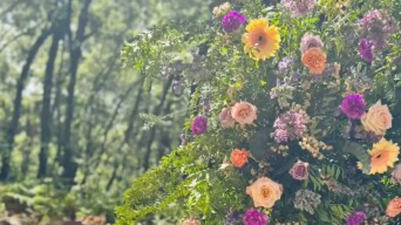 La finca donde se celebr&oacute; la comuni&oacute;n. / Instagram