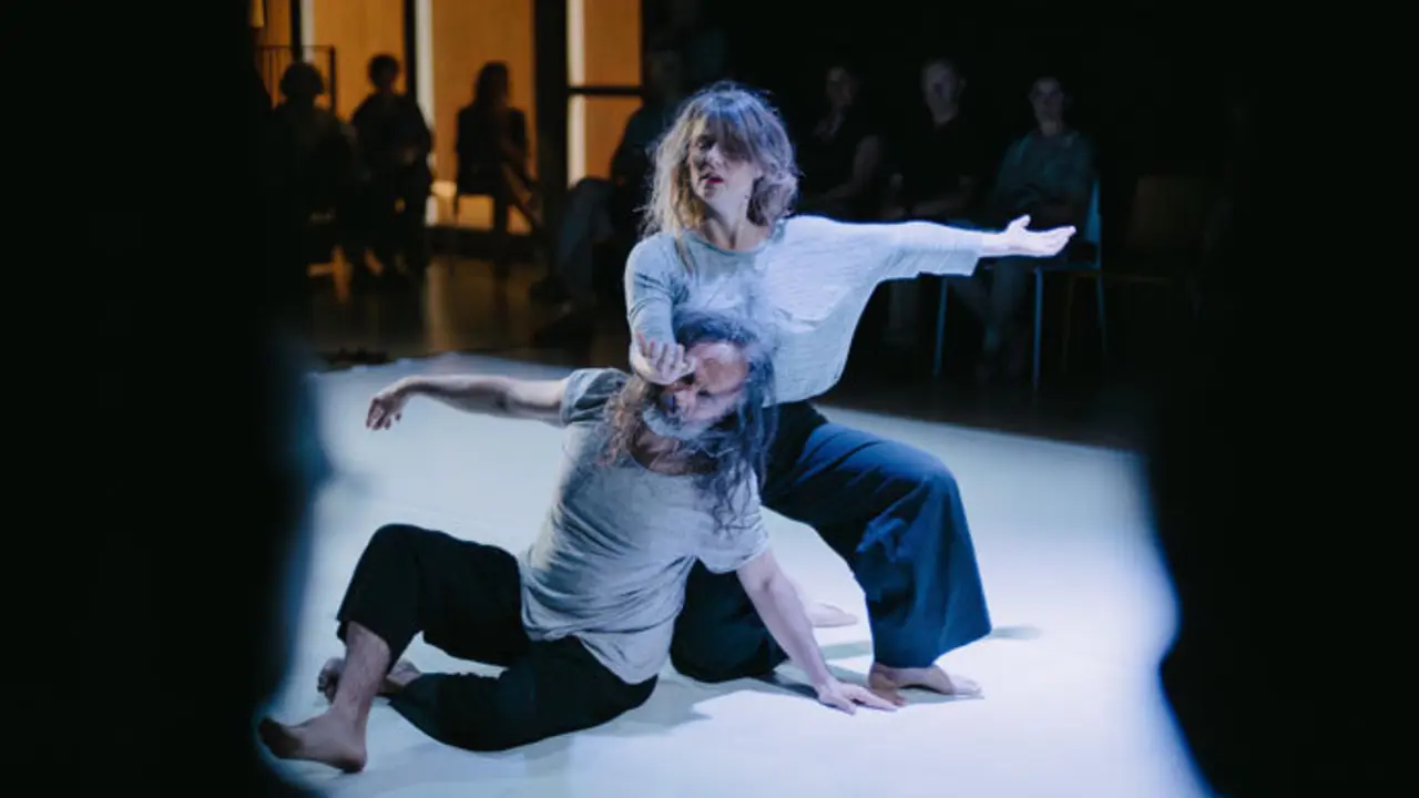 Actuaci&oacute;n de Babirusa Danza, uno de los espect&aacute;culos del ciclo 'Santander Esc&eacute;nica'. / ae