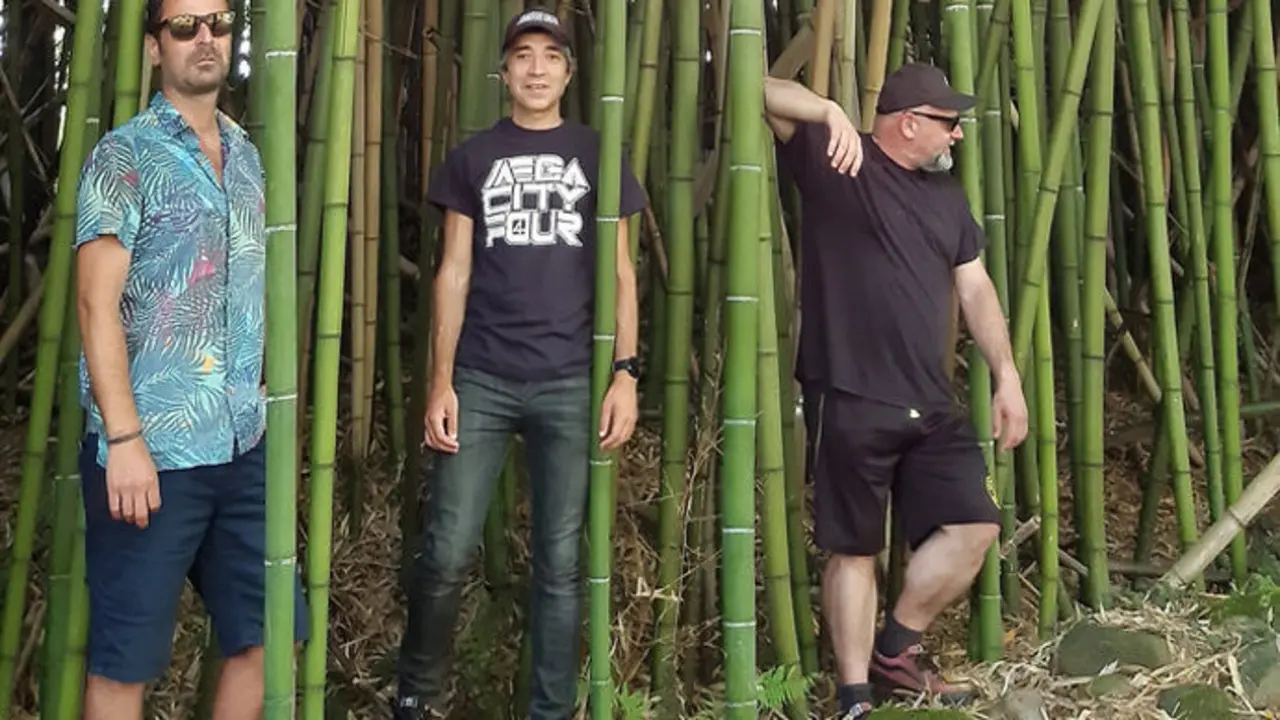 El grupo torrelaveguense de rock 'Maicol'. / x