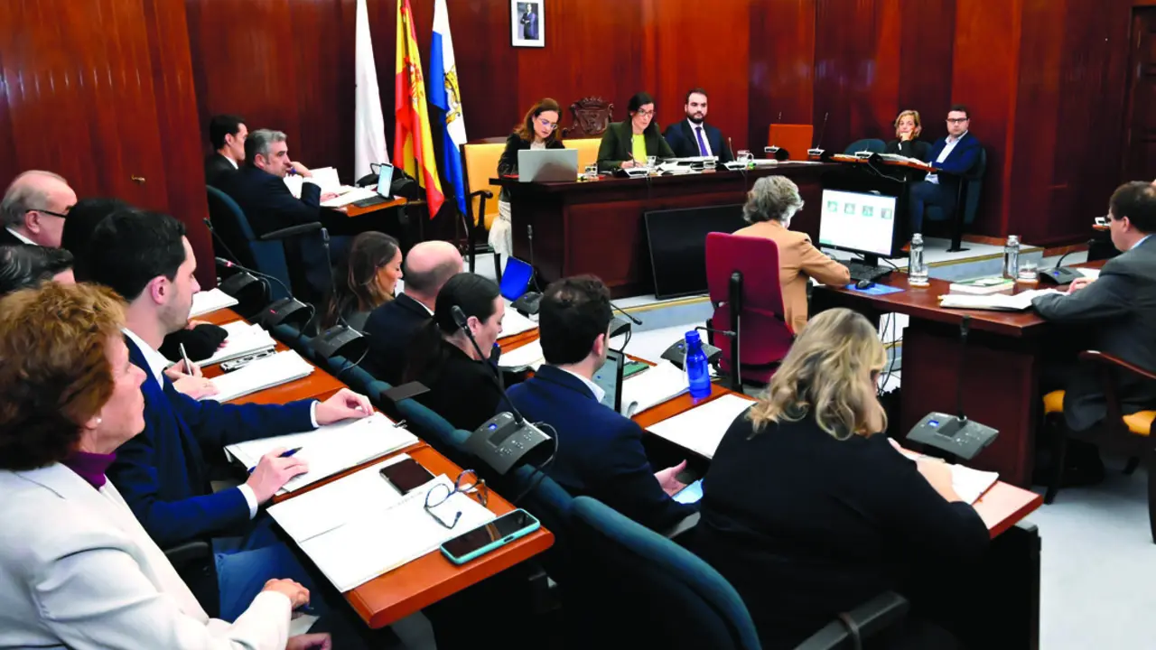 El Pleno municipal santanderino aprob&oacute; inicialmente una nueva ordenanza de residuos. / Alerta