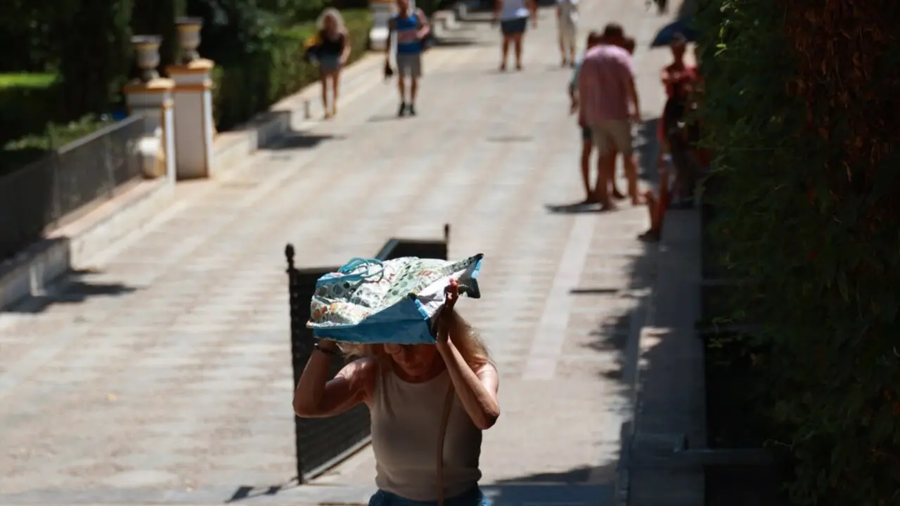 Una persona se resguarda del sol con una bolsa para soportar las altas temperaturas. / Roc&iacute;o Ruz