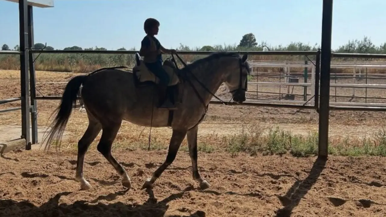 Curro Rivera, hijo de seis a&ntilde;os de Fran Rivera, comparte la afici&oacute;n ecuestre de su padre. / Instagram
