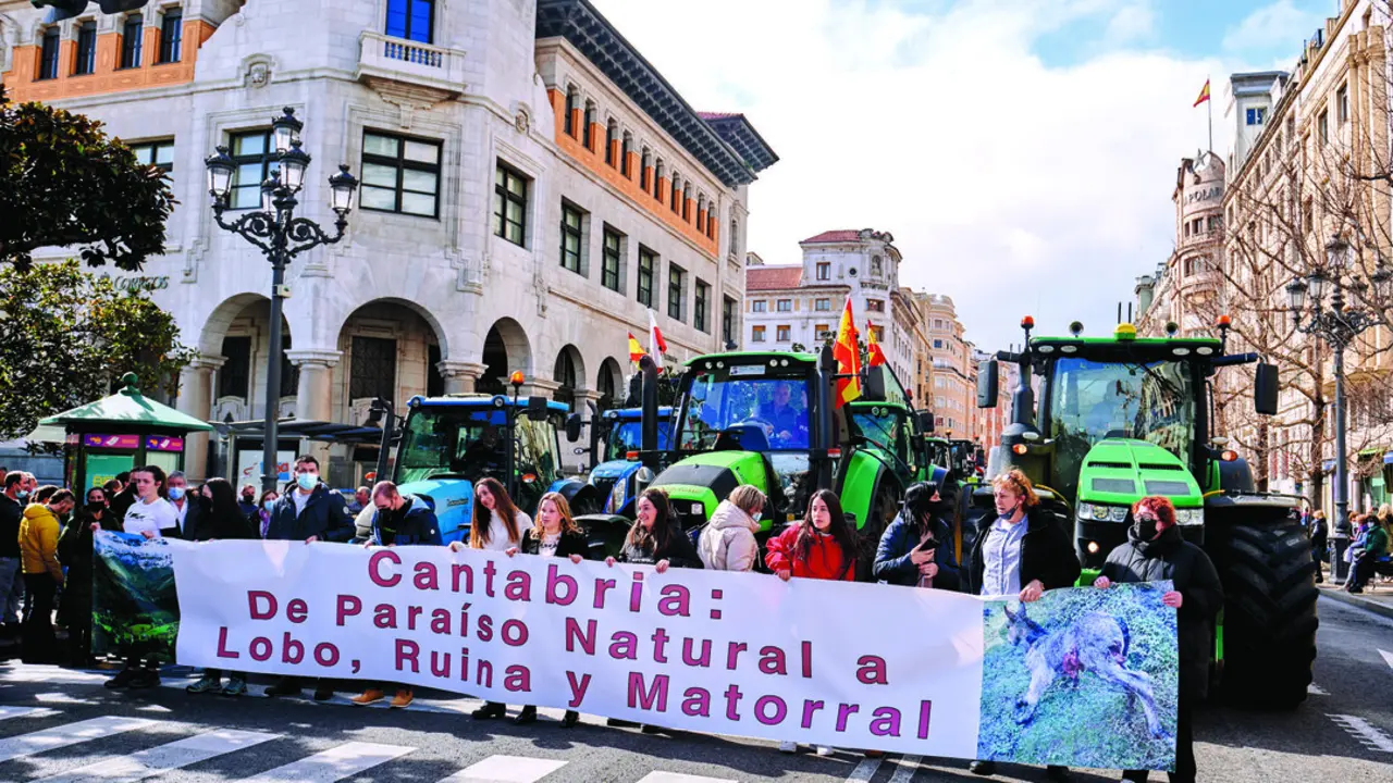 Una manifestaci&oacute;n de los ganaderos c&aacute;ntabros por las calles del centro de Santander. / Alerta