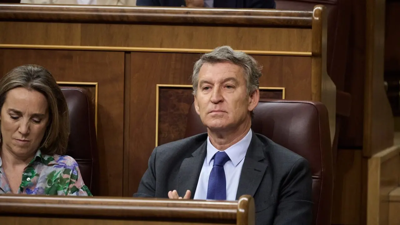 El presidente del PP, Alberto N&uacute;&ntilde;ez Feij&oacute;o, durante un pleno en el Congreso de los Diputados. / Jes&uacute;s Hell&iacute;n