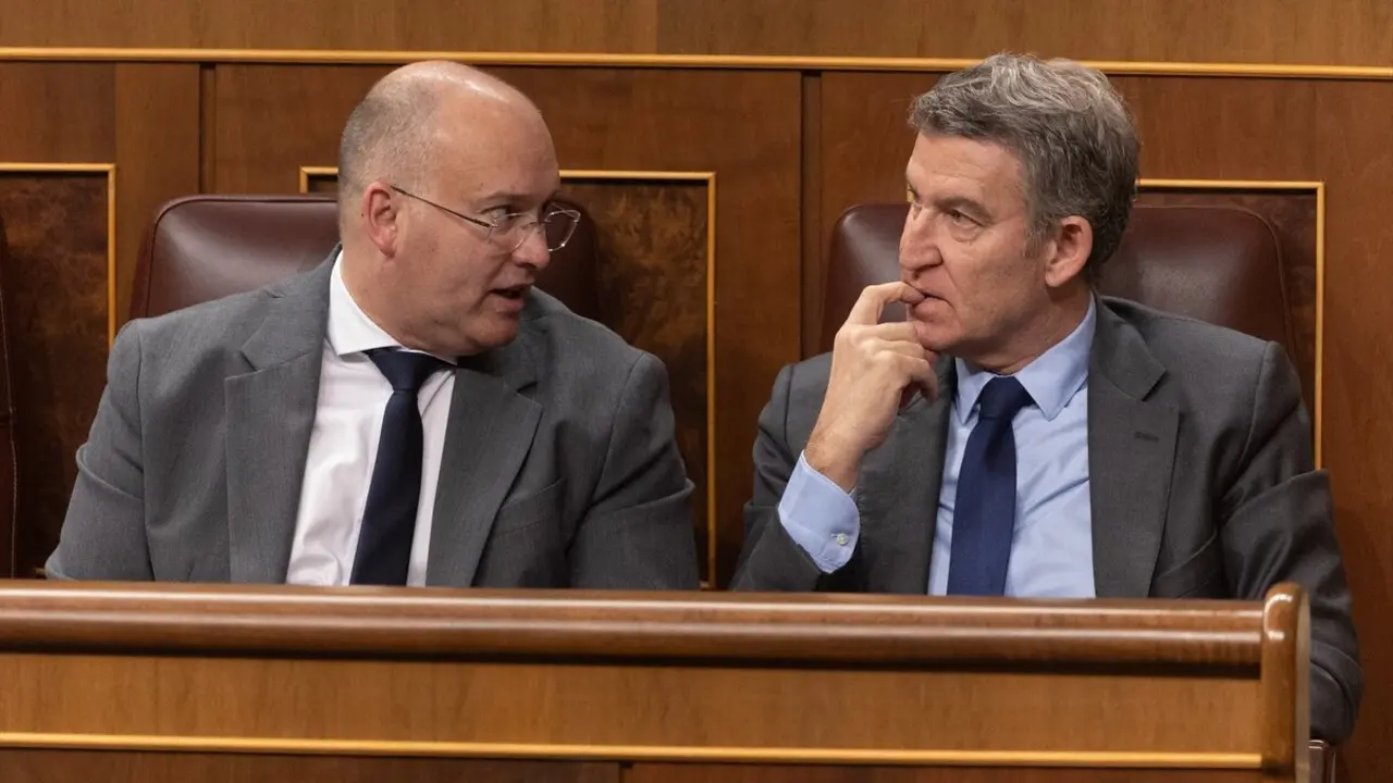 El portavoz del PP en el Congreso, Miguel Tellado (i) y el presidente del PP, Alberto N&uacute;&ntilde;ez Feij&oacute;o (d), interviene durante un pleno en el Congreso de los Diputados. / Eduardo Parra