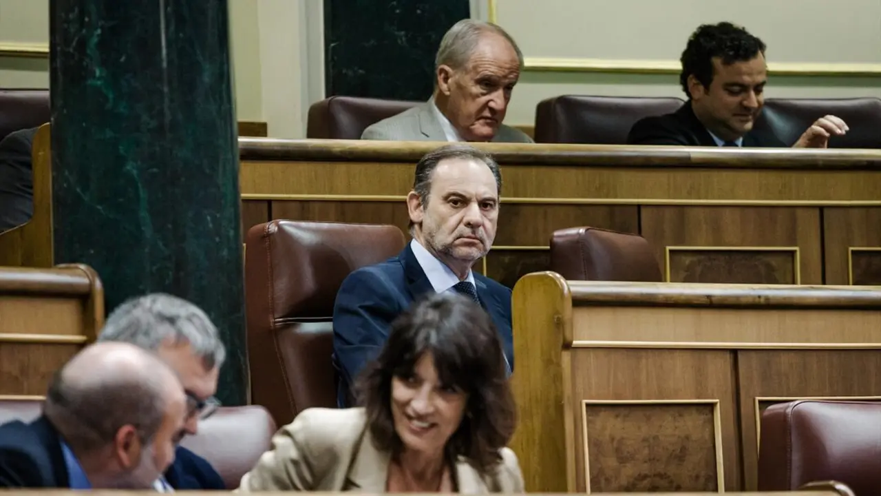 El diputado del Grupo Mixto Jos&eacute; Luis &Aacute;balos (c), durante un pleno en el Congreso de los Diputados. / Carlos Luj&aacute;n