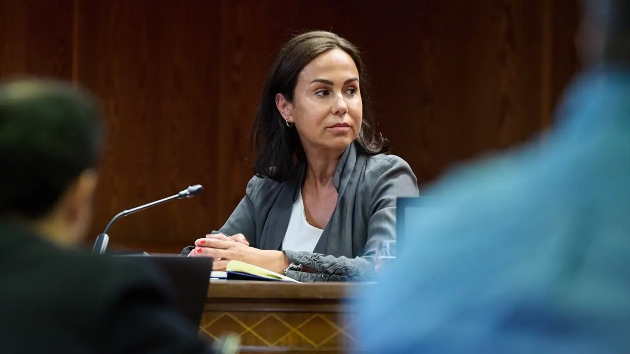 La expresidenta de Adif y ex secretaria de Estado de Transportes, Movilidad y Agenda Urbana, Isabel Pardo de Vera Posada, durante su comparecencia ante la Comisi&oacute;n de Investigaci&oacute;n. / Jes&uacute;s Hell&iacute;n