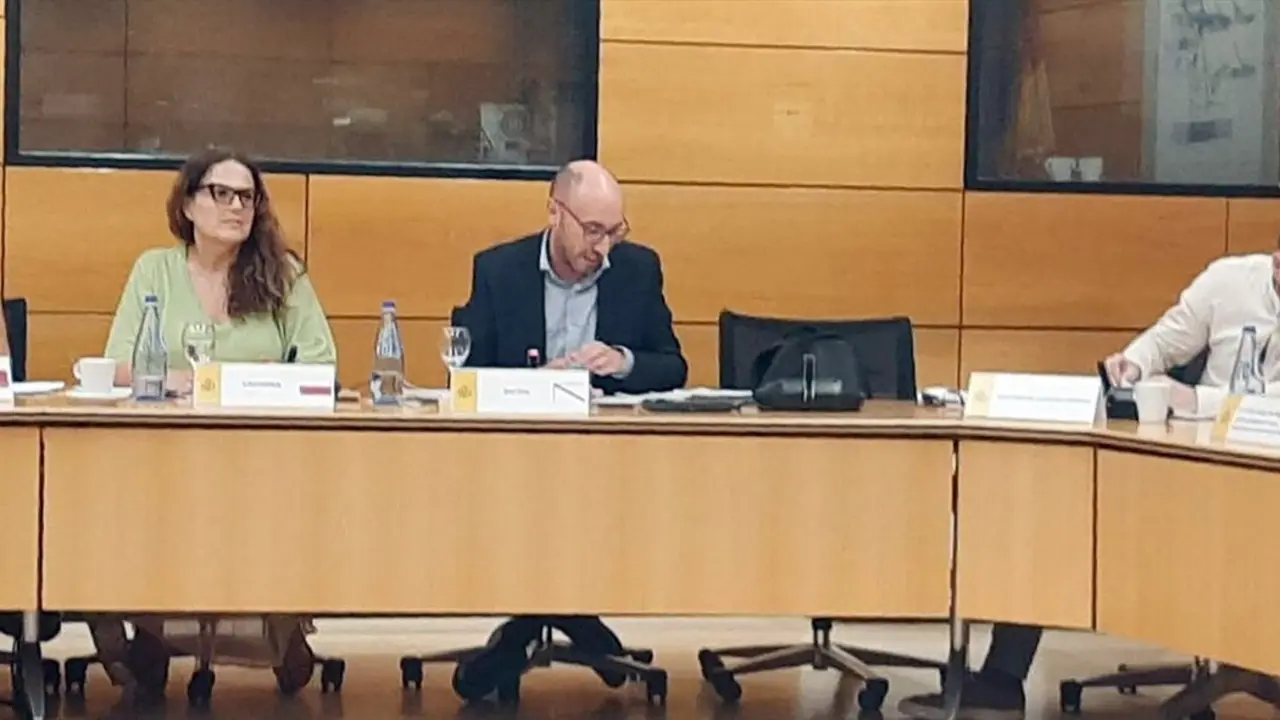 La directora del ICASS en la Comisi&oacute;n Sectorial de Infancia celebrada en Madrid. / EP
