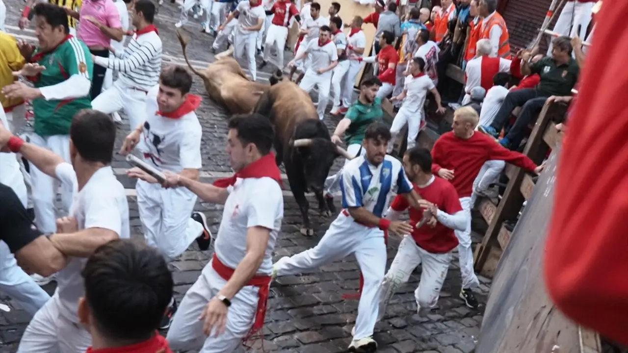 Encierro protagonizado por los toros de &Aacute;lvaro N&uacute;&ntilde;ez. / Eduardo Sanz