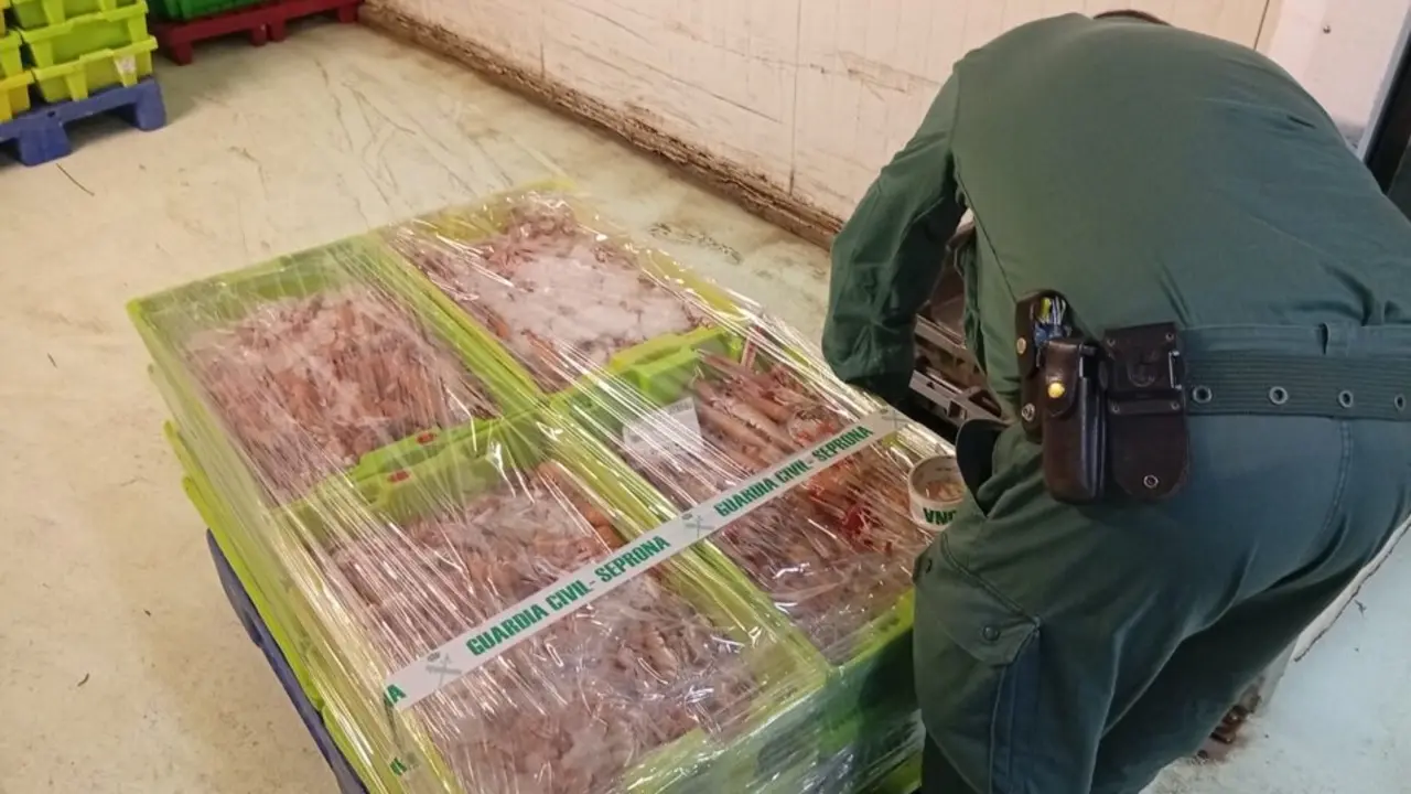 Interceptados m&aacute;s de 280 kilos de cigalas sin documentaci&oacute;n. / Guardia Civil