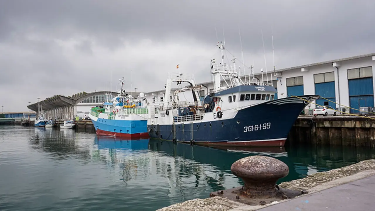 Pesca Pescadores Puerto Barrio Pesquero Lonja Barco