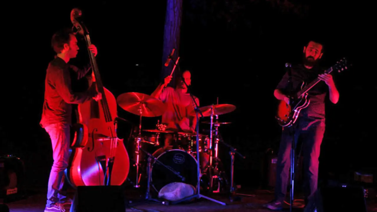 El grupo madrile&ntilde;o 'The Skin Tree Project'. / x