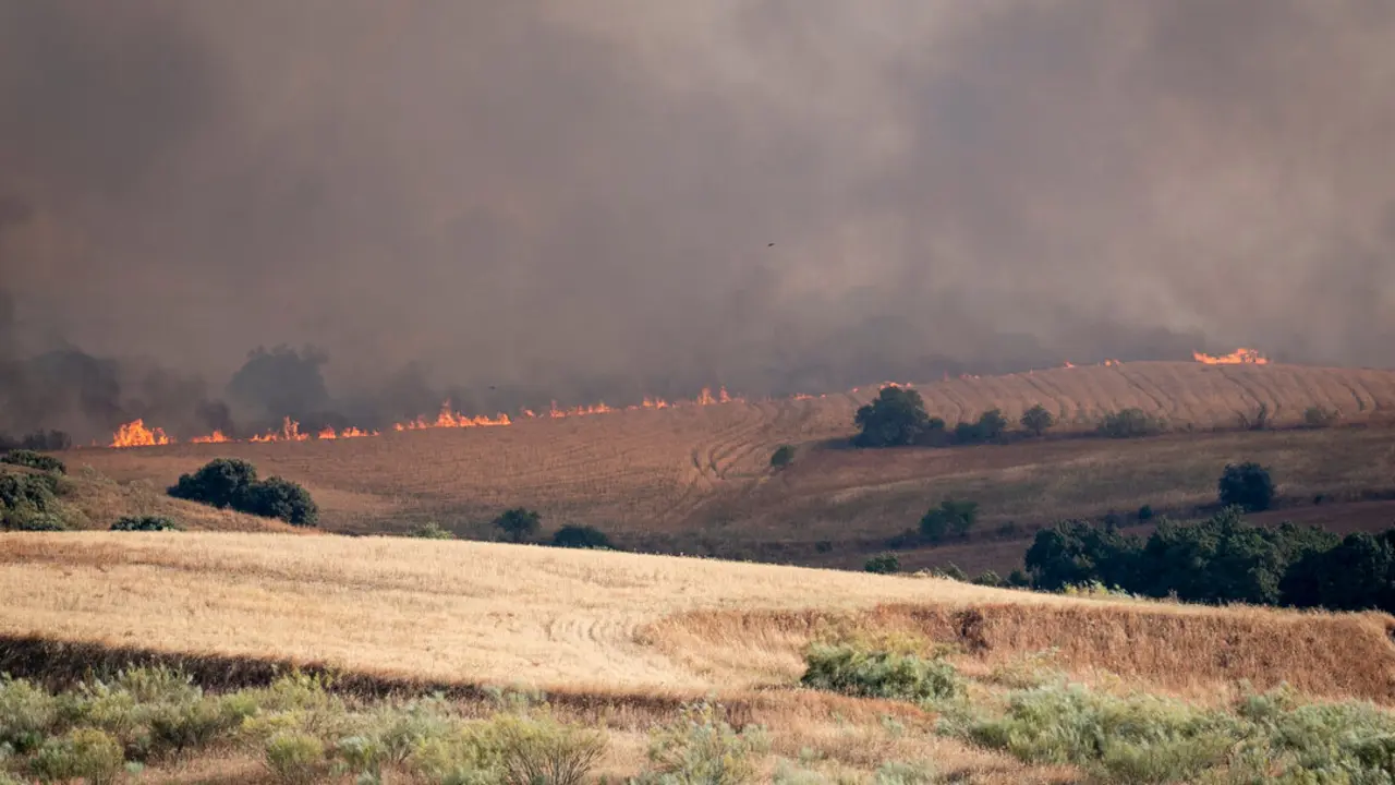 Vista del incendio. / EP