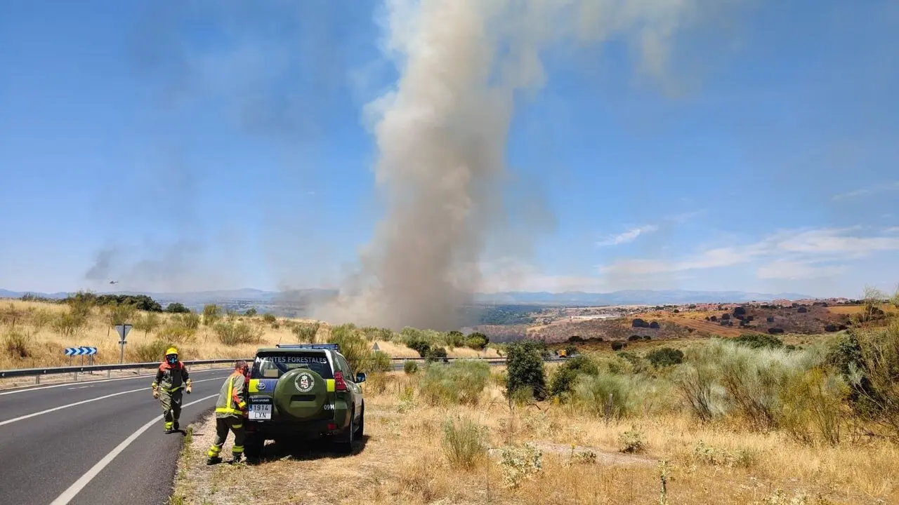 Incendio de vegetaci&oacute;n en la Ribera de San Pedro de Arroyomolinos. / EP
