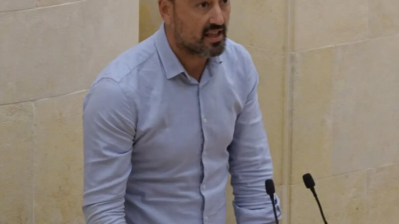 El alcalde de Torrelavega, Javier L&oacute;pez Estrada, durante una intervenci&oacute;n en el Parlamento. / A.E.