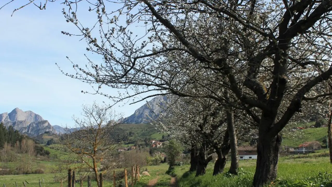 Uno delos rincones del pueblo de Ojedo. / B.S.