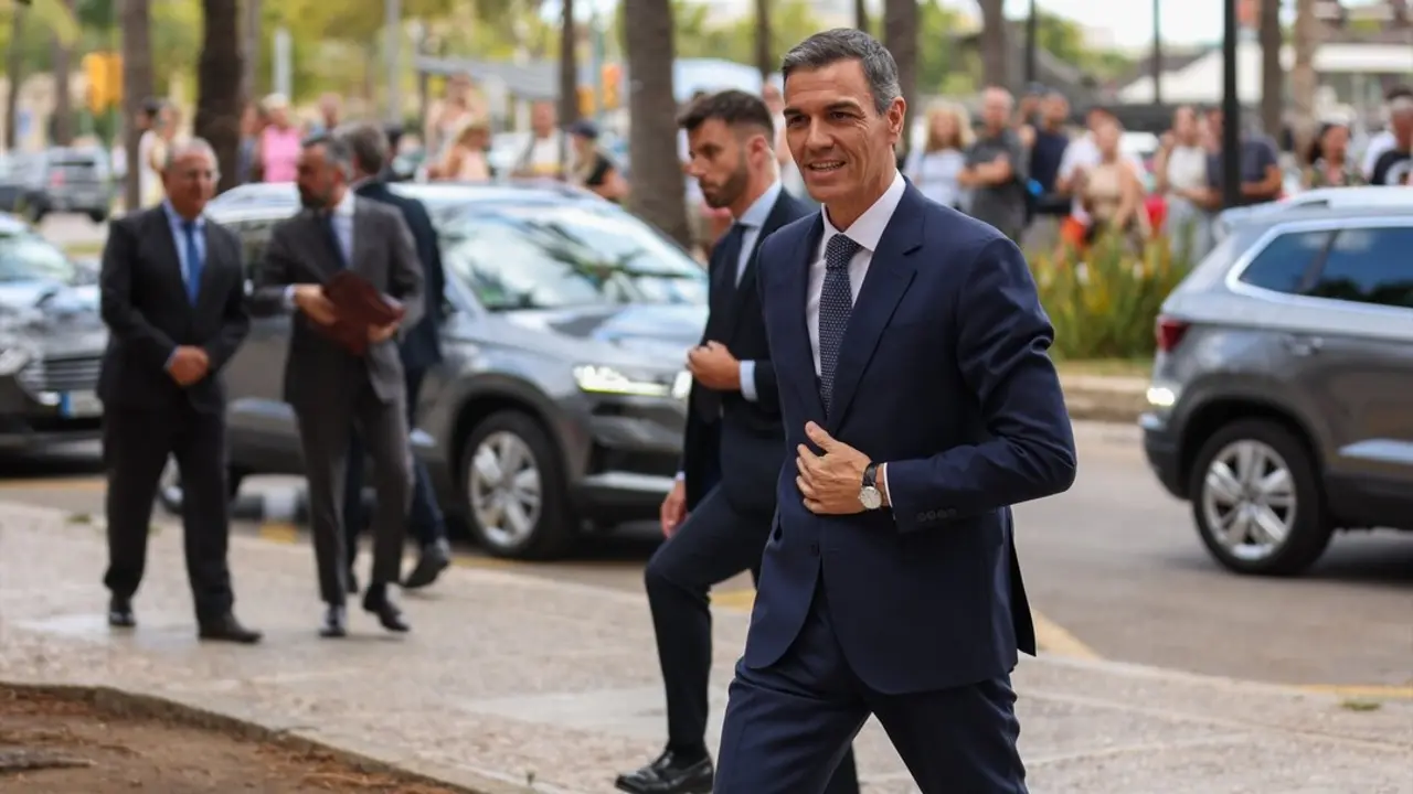 El presidente del Gobierno, Pedro S&aacute;nchez. / Tom&agrave;s Moy&agrave;