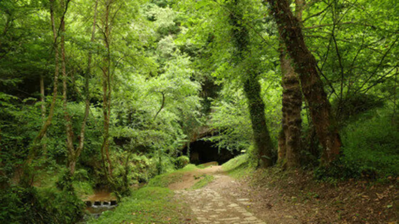 Uno de los rincones de Rasines. / A.S.P
