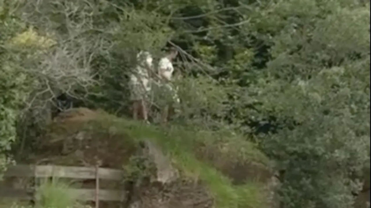 La familia fuera del recinto habilitado para visitantes. / TikTok