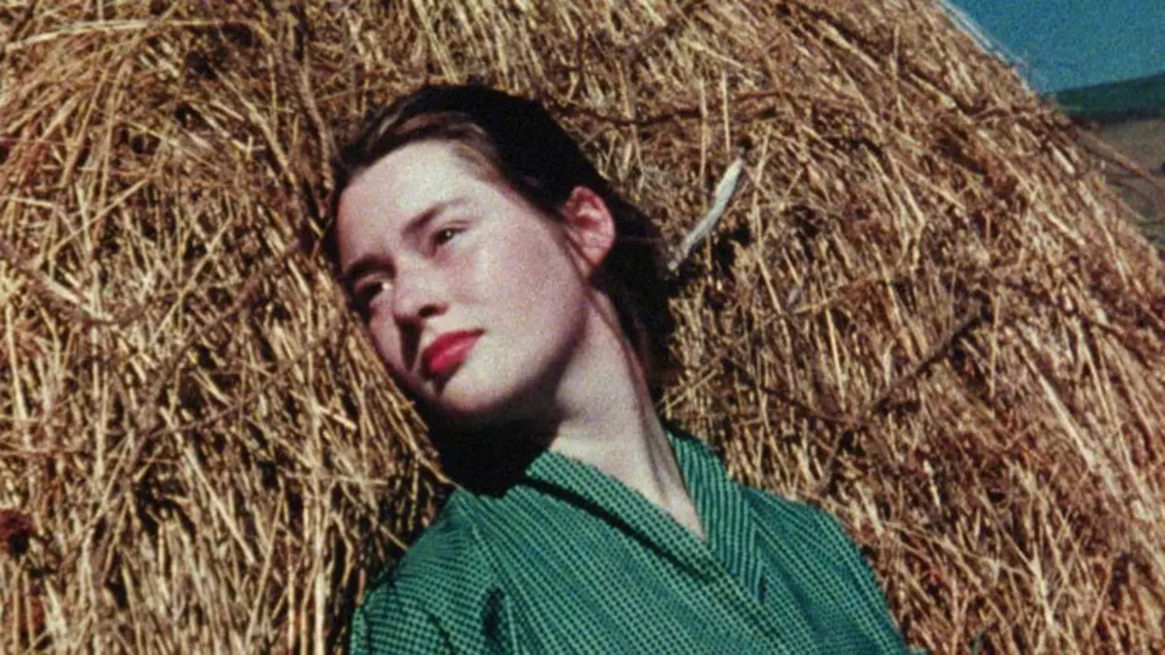 Fotograma de la cinta 'Where I Am Is Here' de Margaret Tait. / x