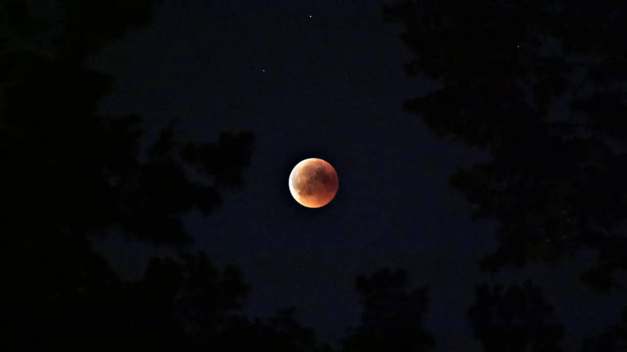 pexels-didsss-La fase total arrancar&aacute; a las 19:31, pero depender&aacute; de tu ciudad cu&aacute;nto tiempo podr&aacute;s disfrutar de la luna de sangre. / A.E