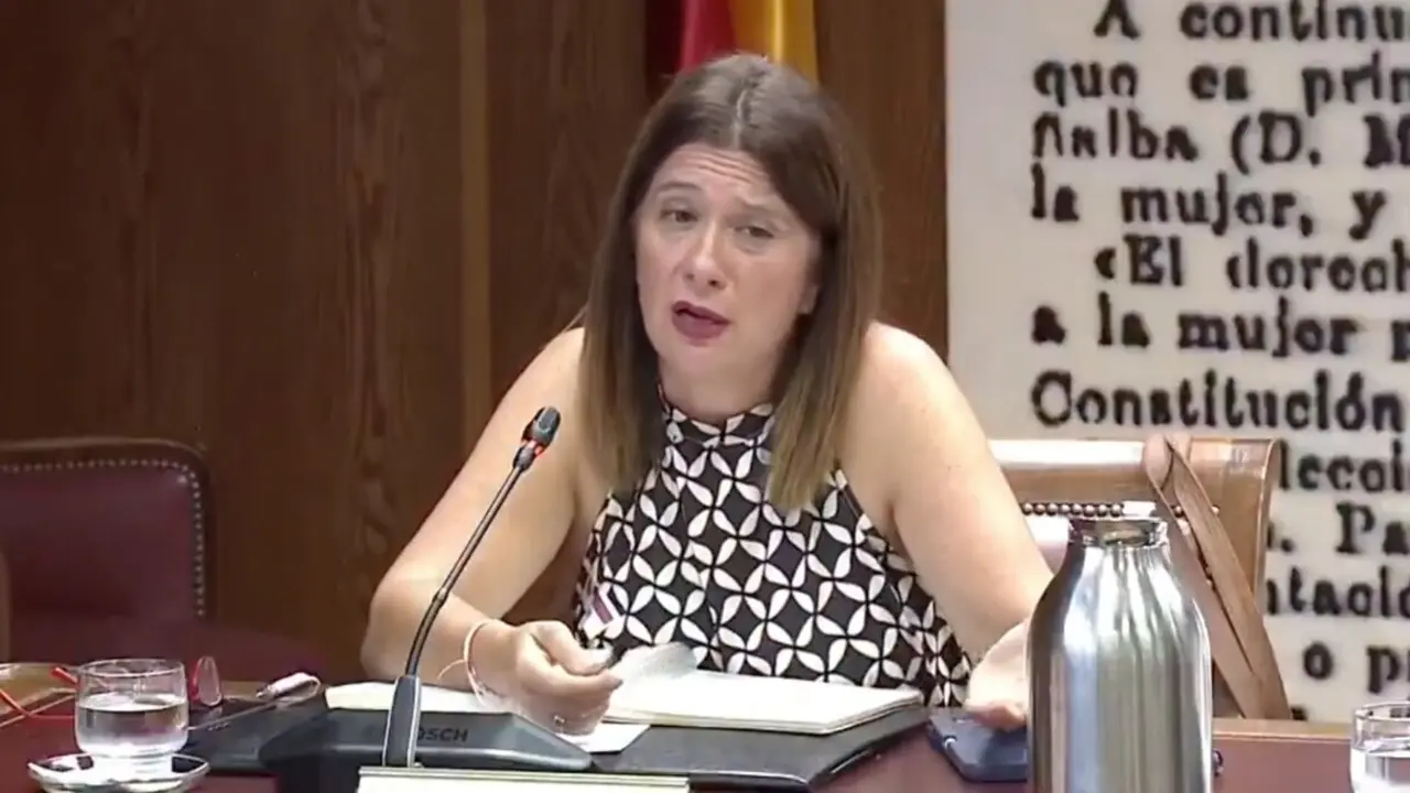 Leire D&iacute;ez durante su intervenci&oacute;n en la comisi&oacute;n que investiga el 'caso Koldo' en el Senado. / X