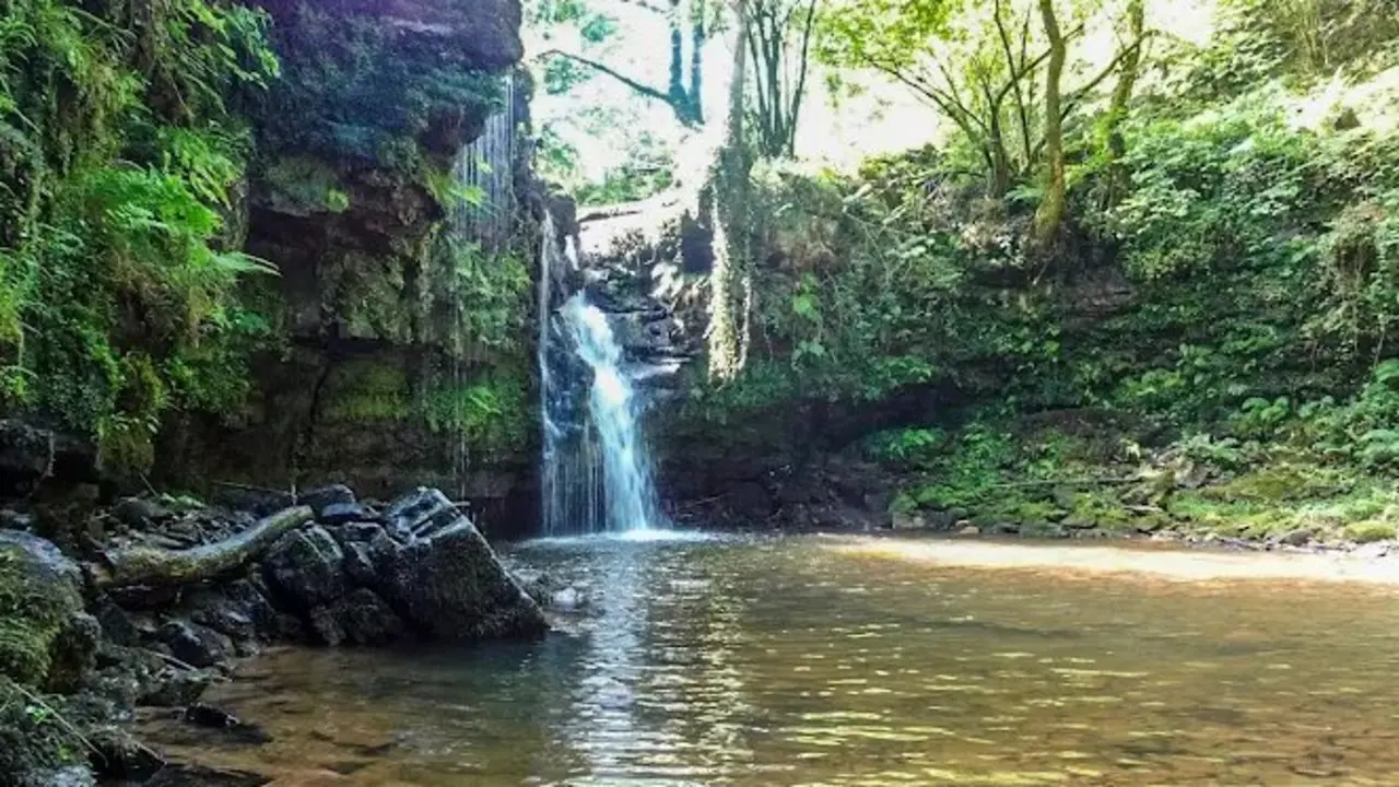 Este sendero pasiego demuestra que en Cantabria tambi&eacute;n hay rincones que parecen selvas tropicales. / J.C.