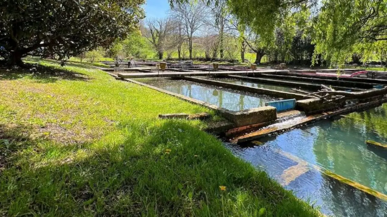 Piscifactor&iacute;a de Saro. / P.S.