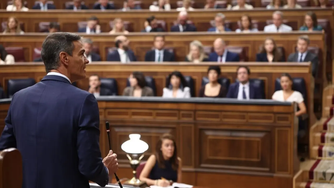 El presidente del Gobierno, Pedro S&aacute;nchez, interviene durante una sesi&oacute;n de control al Gobierno en el Congreso de los Diputados. / Eduardo Parra