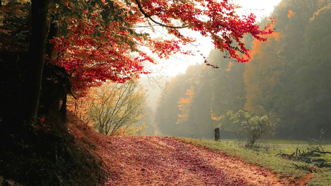 El oto&ntilde;o llega con un tiempo cambiante. / A.P