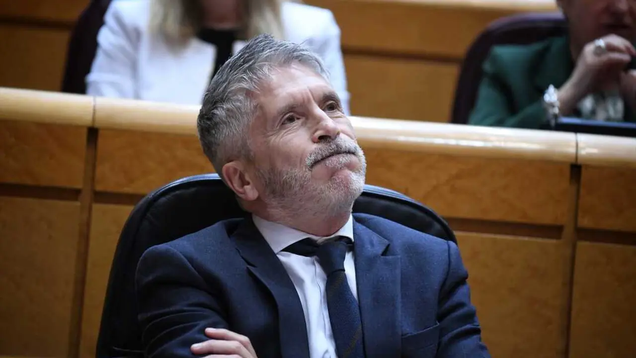 El ministro del Interior, Fernando Grande-Marlaska, durante una sesi&oacute;n de control al Gobierno en el Senado. / Fernando S&aacute;nchez