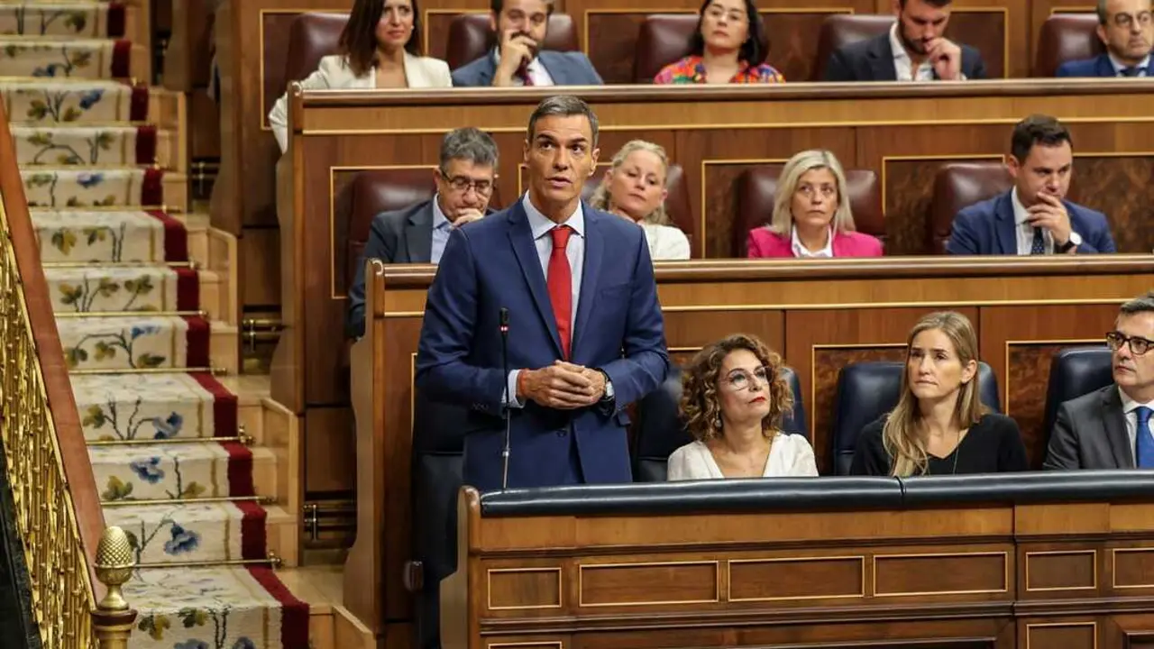 El presidente del Gobierno, Pedro S&aacute;nchez, interviene durante una sesi&oacute;n de control al Gobierno en el Congreso de los Diputados. / Ananda Manj&oacute;n