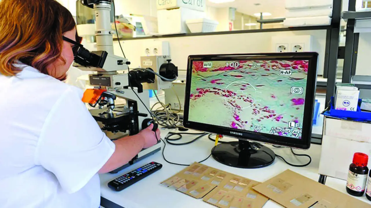 Una investigadora del Instituto de Investigaci&oacute;n Valdecilla (IDIVAL). / Alerta