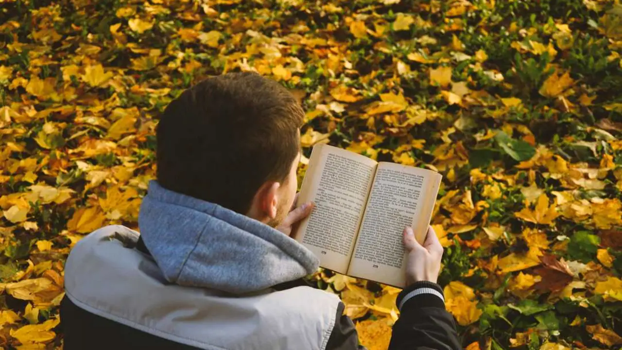 La b&uacute;squeda del libro perfecto puede ser un reto, pero aqu&iacute; te ayudamos. / A.E
