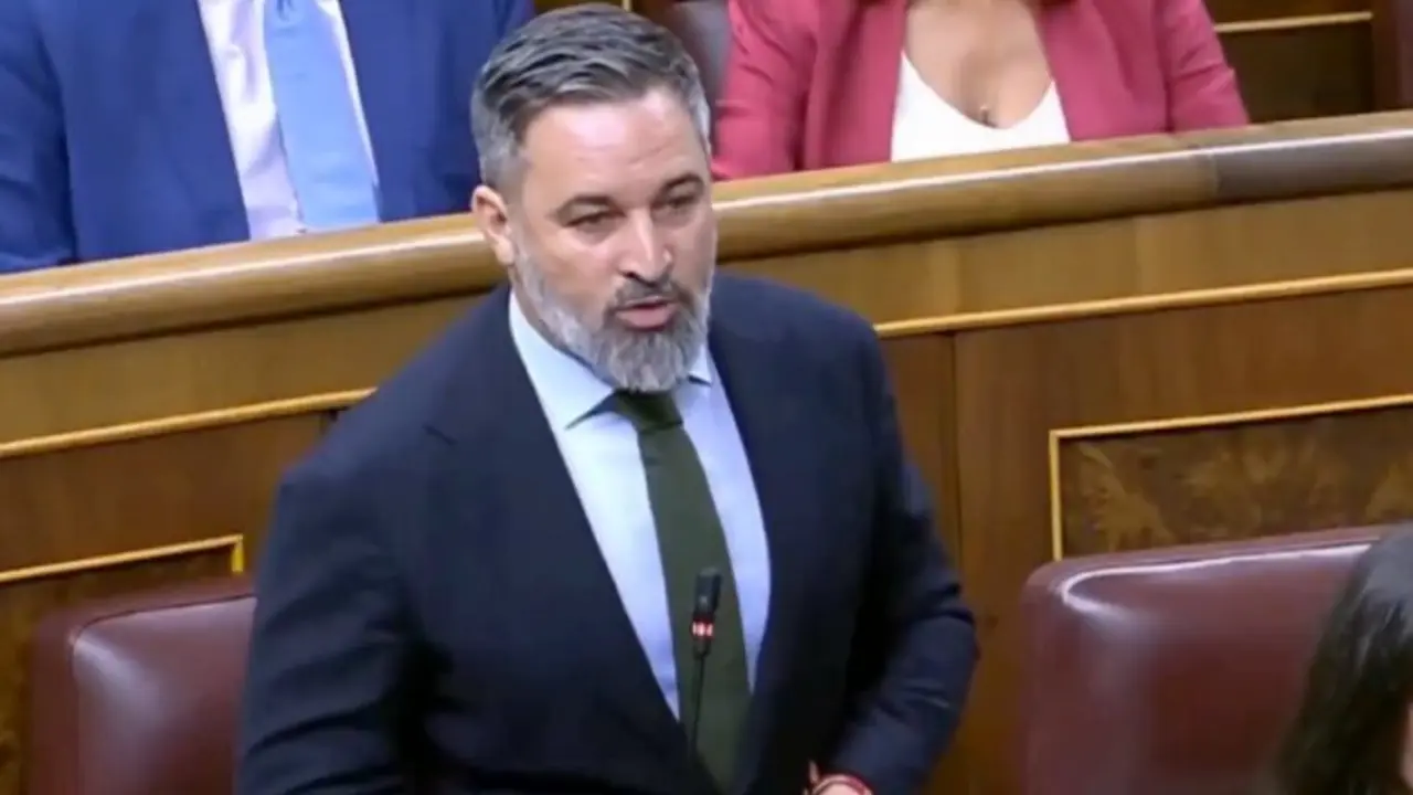 Santiago Abascal durante la sesi&oacute;n del Congreso. / X