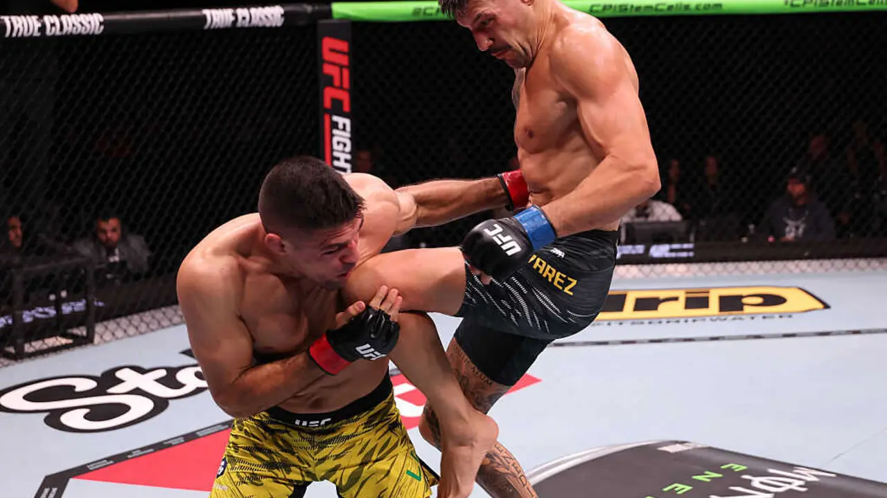 Joel &Aacute;lvarez durante su combate. / UFC