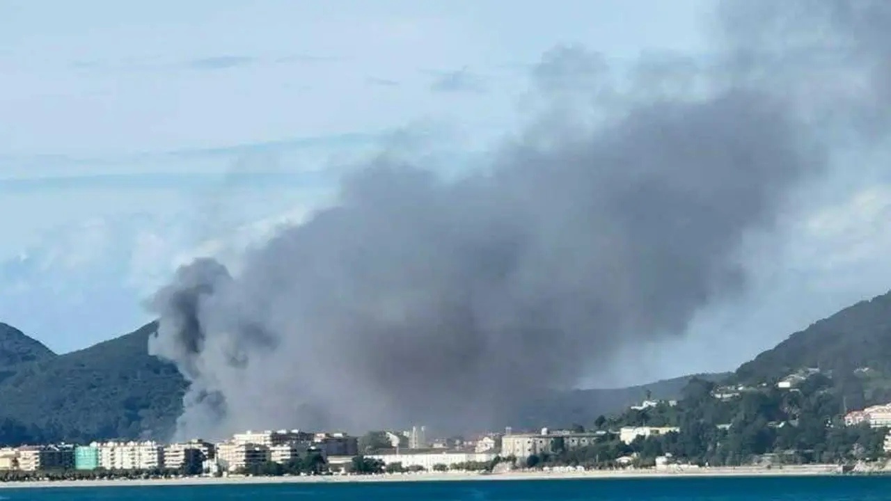 Un incendio se declar&oacute; en la nave de Conservas Crespo en Santo&ntilde;a. / Alerta