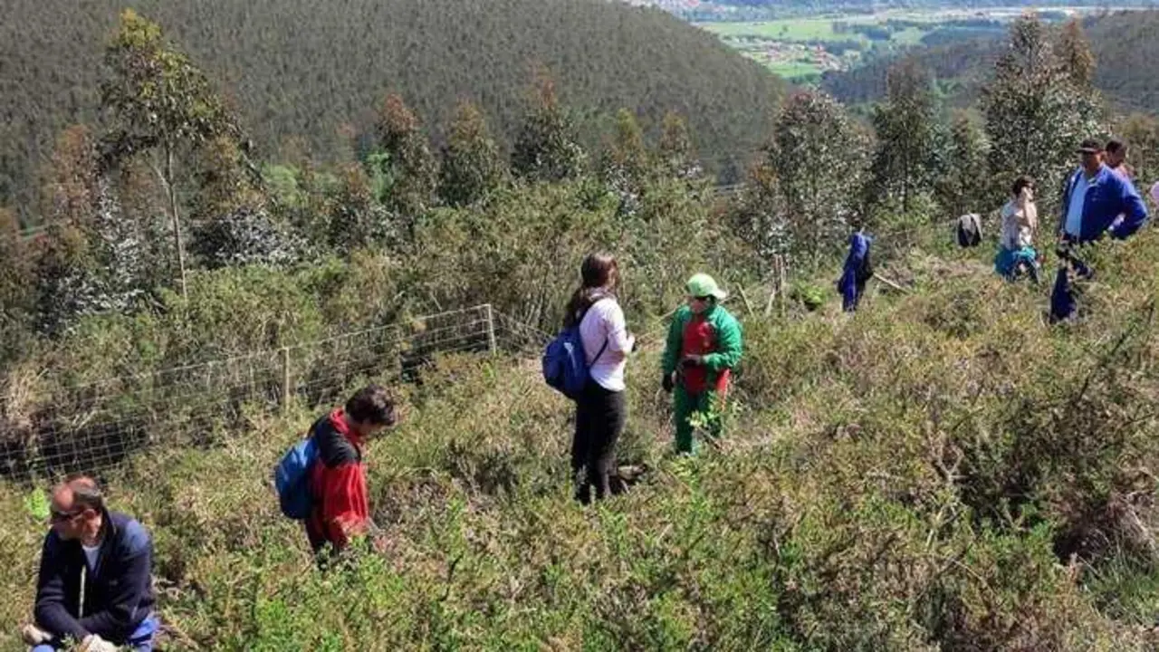 Si te apasiona el aire libre, no puedes perderte estas rutas de senderismo cerca de Torrelavega. / EP