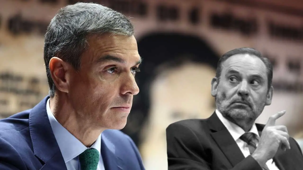 El juez Puente advierte de la falta de correlaci&oacute;n entre los pagos en met&aacute;lico detectados y la contabilidad oficial del PSOE. / EP