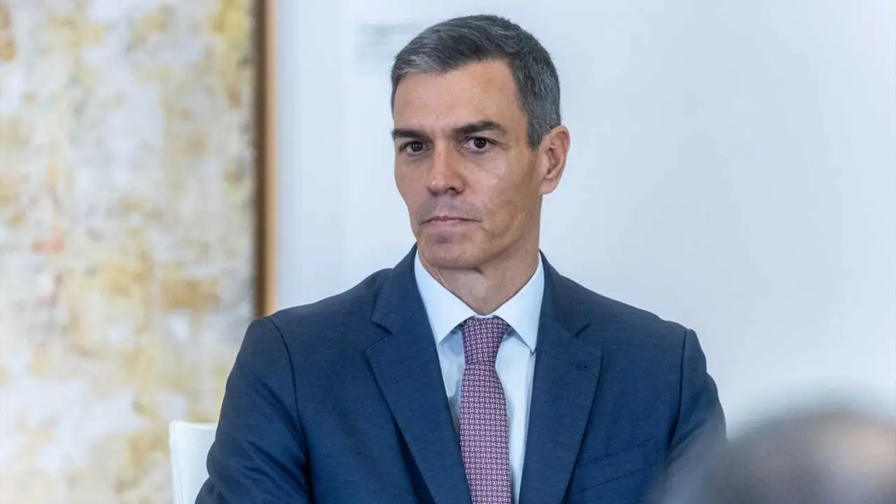 El presidente del Gobierno, Pedro S&aacute;nchez. / Ananda Manj&oacute;n