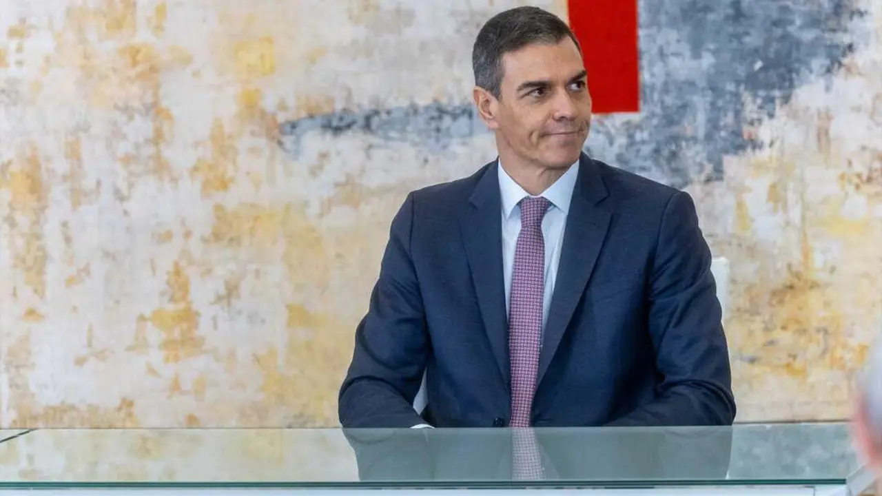 El presidente del Gobierno, Pedro S&aacute;nchez. / Ananda Manj&oacute;n