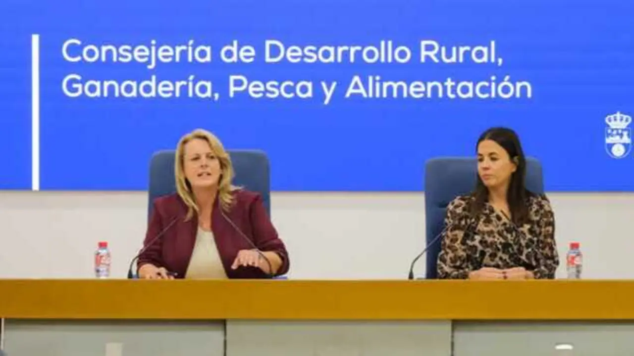 Mar&iacute;a Jes&uacute;s Susinos presenta los Presupuestos de su Consejer&iacute;a. / a.e.